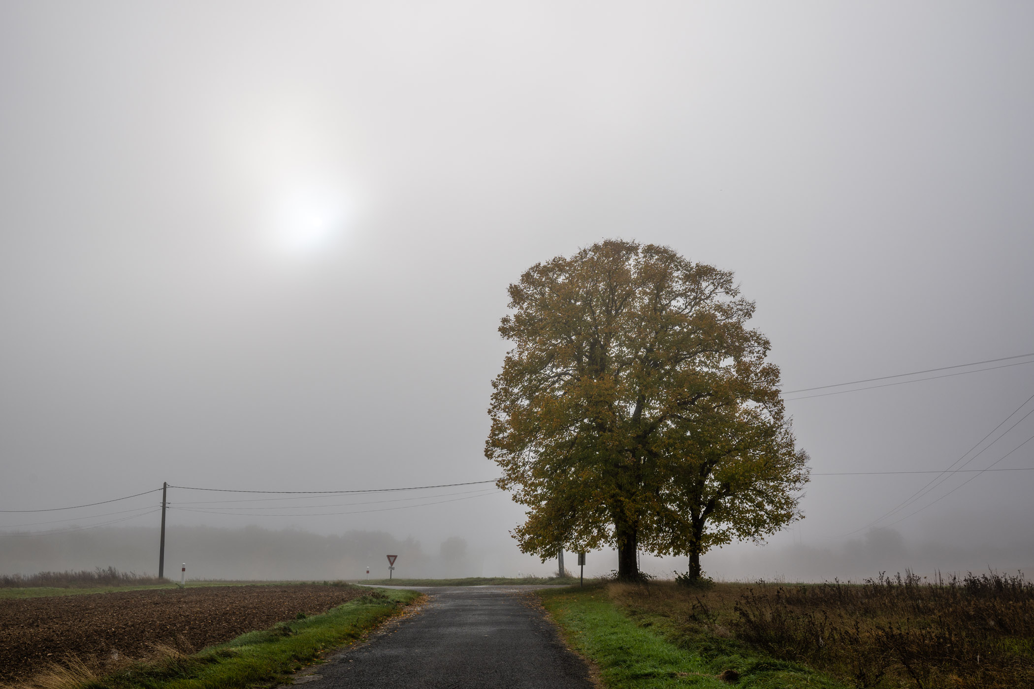 Une lueur dans la brume Une lueur dans la brume