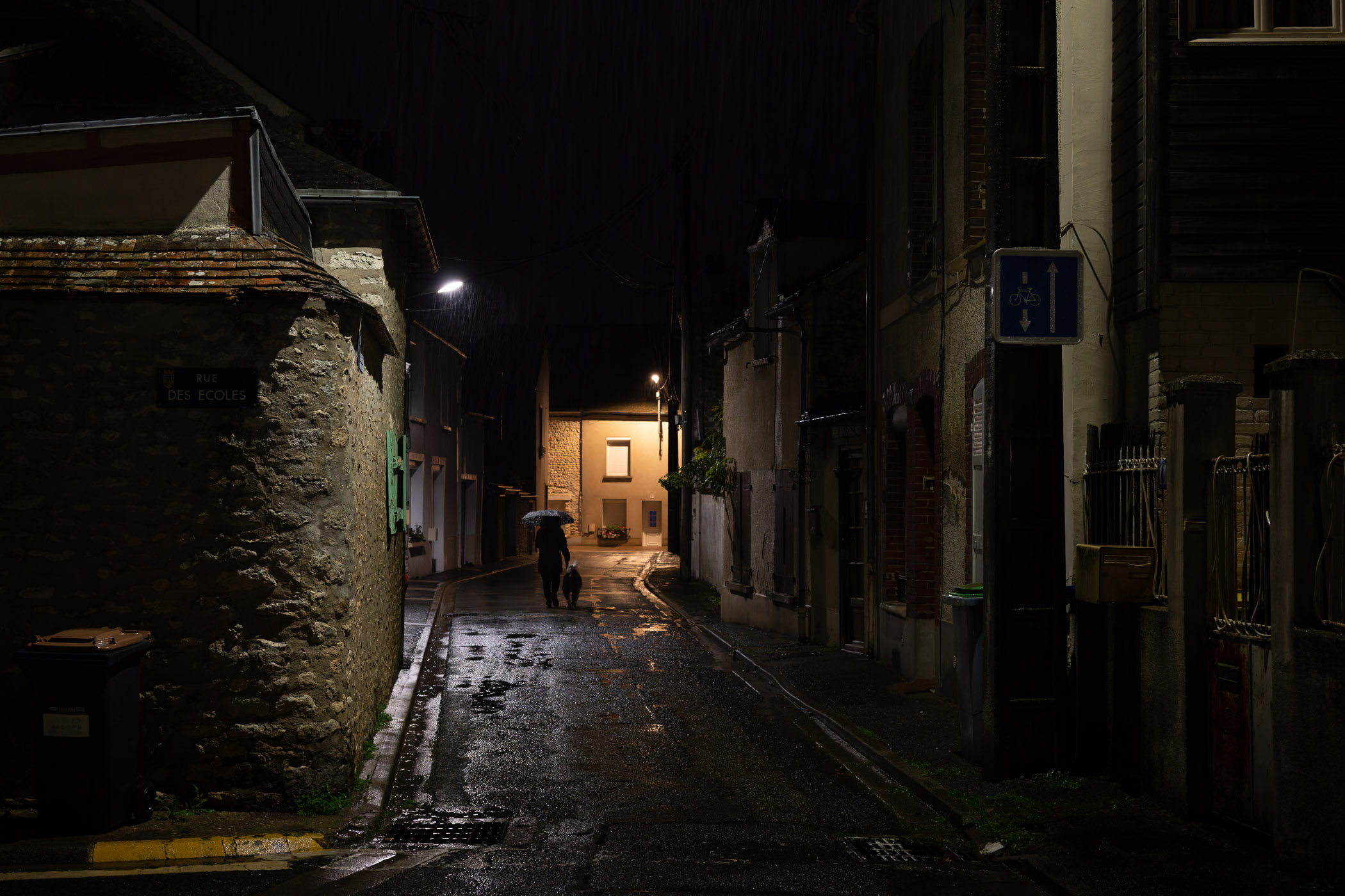 La promeneuse et son chien
