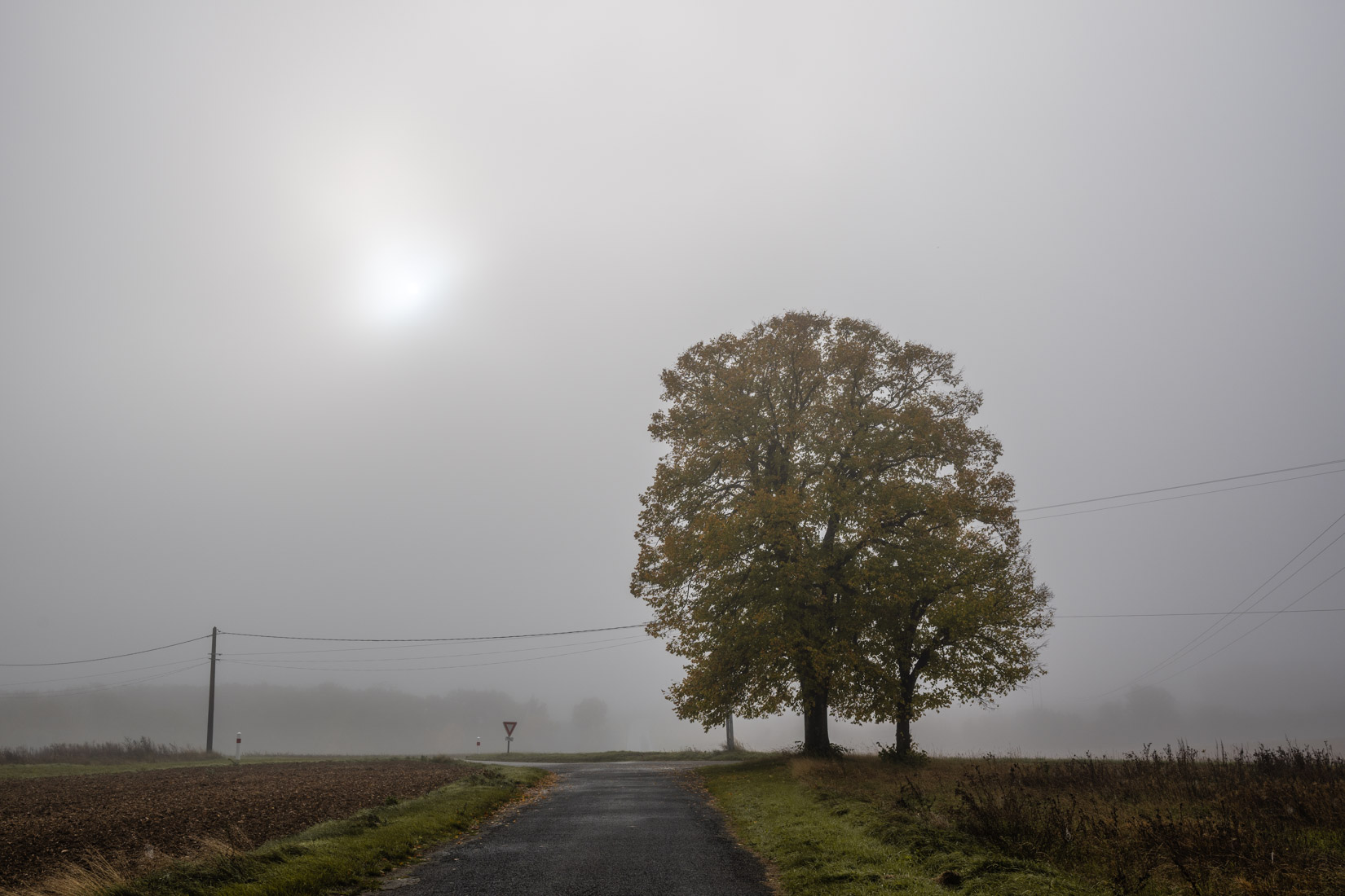 Une lueur dans la brume | Angerville - 2025