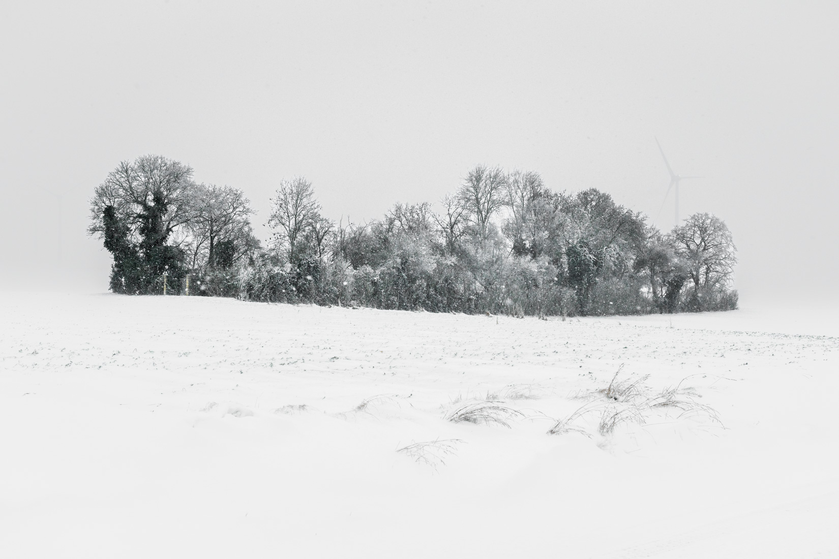 Le bosquet | Pussay - 2026