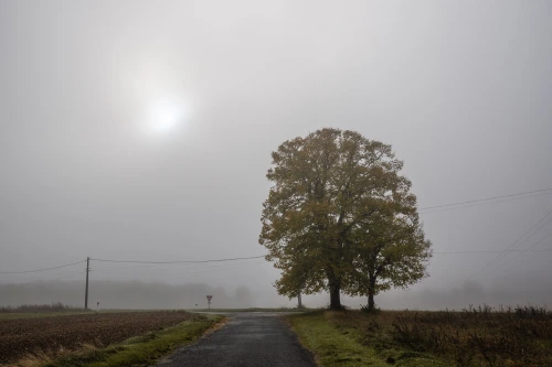 Une lueur dans la brume