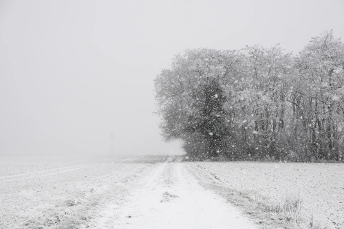 Chemin solitaire